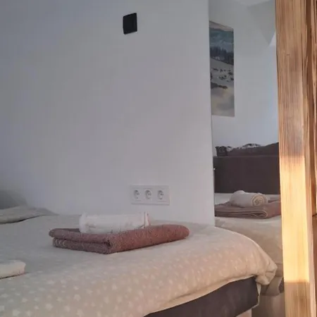 Ivanovic Center Apartman *