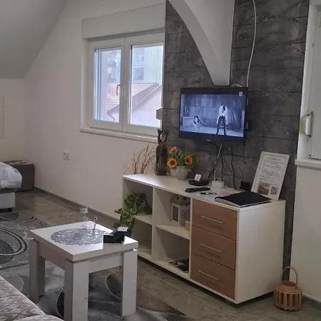 Apartman Ivanovic Center *