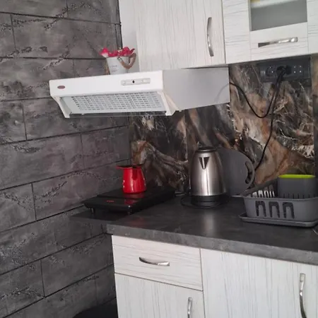 Apartman Ivanovic Center *