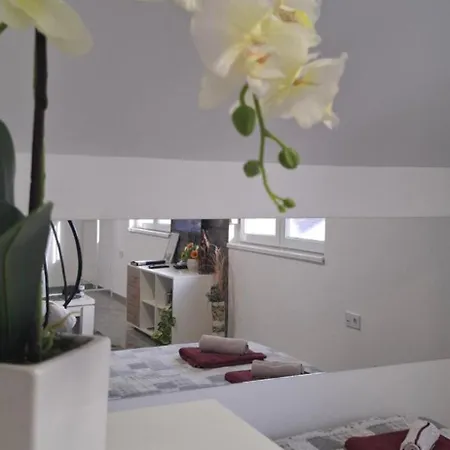 Ivanovic Center * バイナ・バシュタ