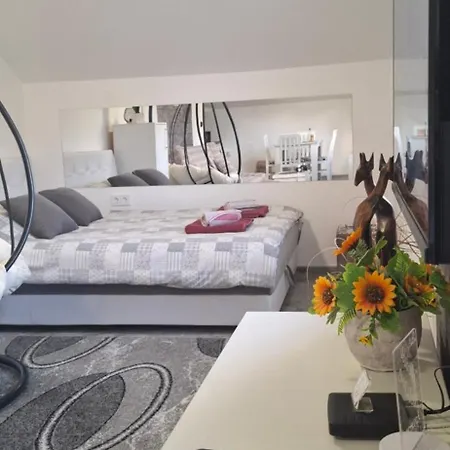 Apartman Ivanovic Center