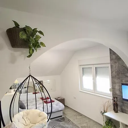 Apartman Ivanovic Center *