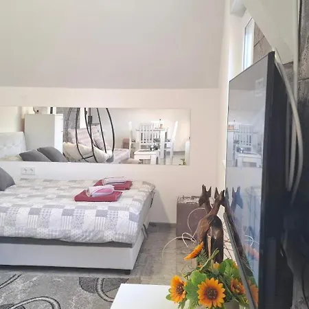 Ivanovic Center * バイナ・バシュタ