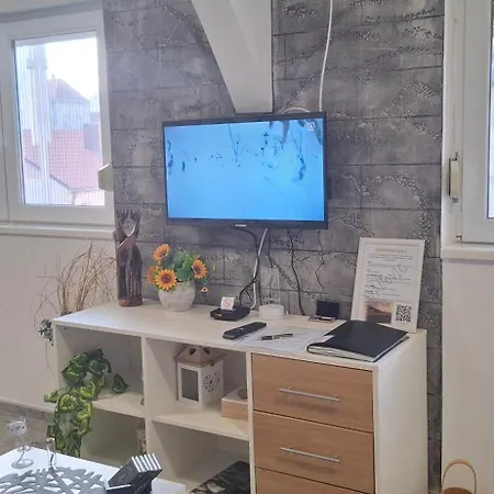 Ivanovic Center Apartman
