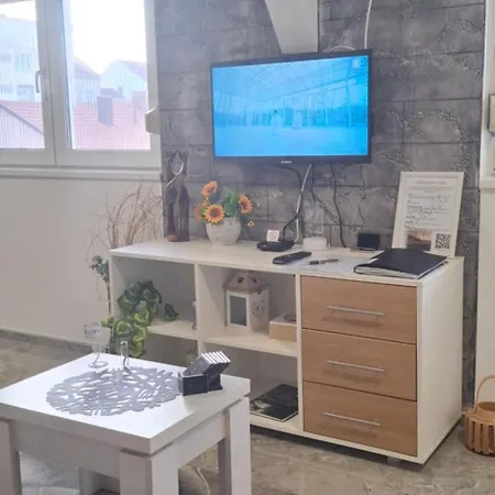 Апартаменты Ivanovic Center *