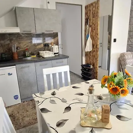 Ivanovic Center Apartman Bajina Bašta