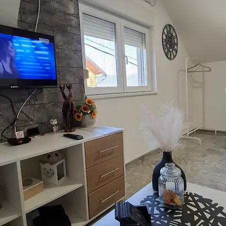 Ivanovic Center Apartman