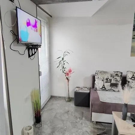 Ivanovic Center Apartman