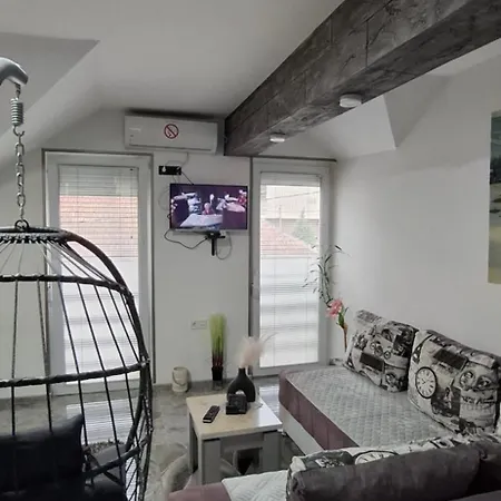 Ivanovic Center Apartman *