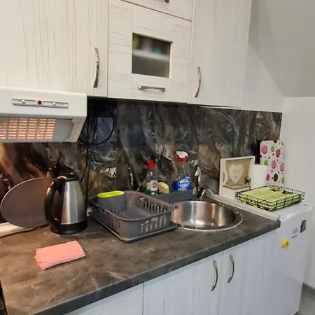 Apartman Ivanovic Center *