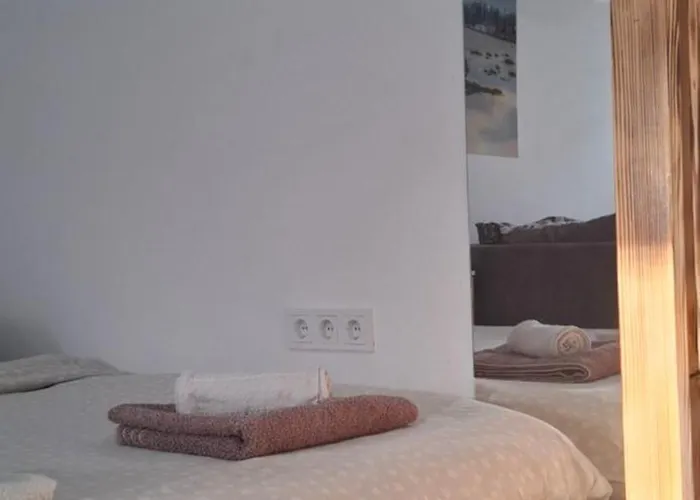 Ivanovic Center Appartamento *