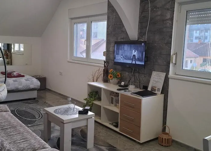 Appartamento Ivanovic Center *