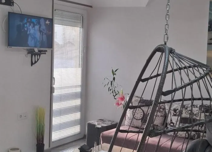 Ivanovic Center Bajina Basta