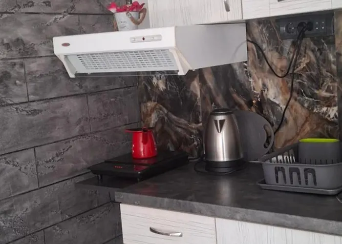 Appartamento Ivanovic Center *