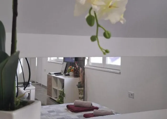 Ivanovic Center * Bajina Basta