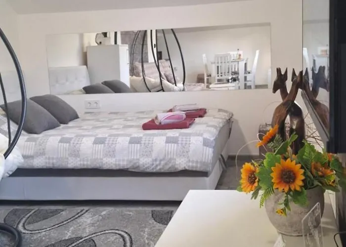 Lejlighed Ivanovic Center