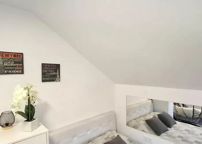 Ivanovic Center Bajina Basta