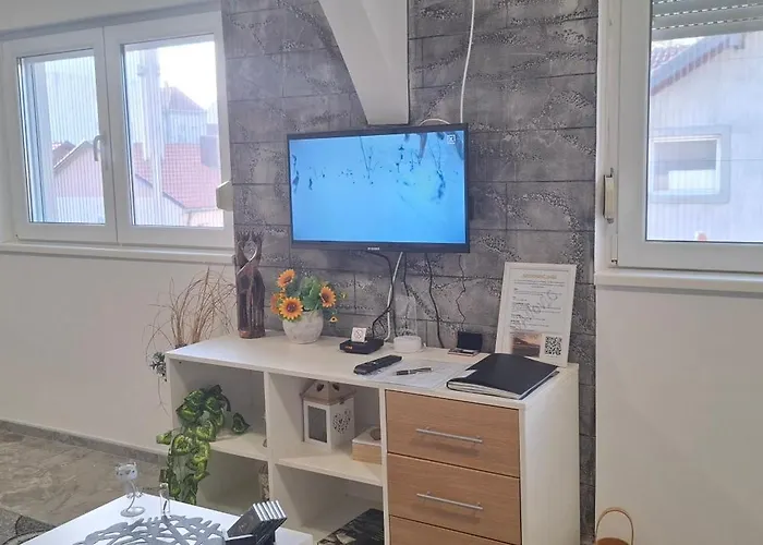 Ivanovic Center Appartamento