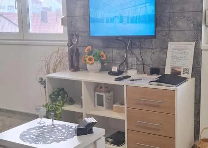 Lejlighed Ivanovic Center *