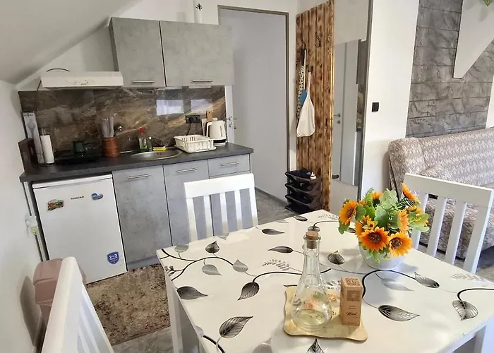 Ivanovic Center Appartamento Bajina Basta