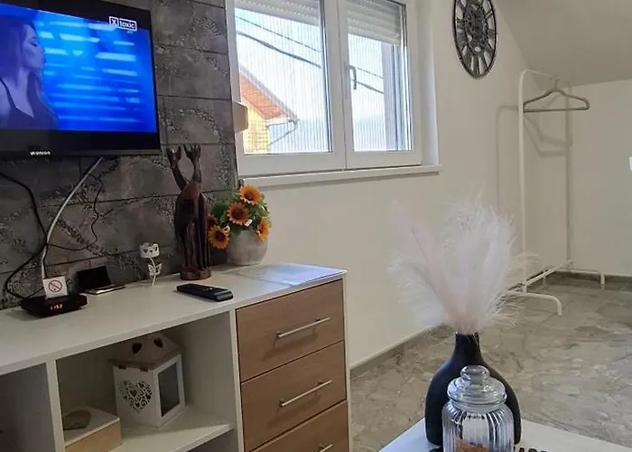 Ivanovic Center Appartamento