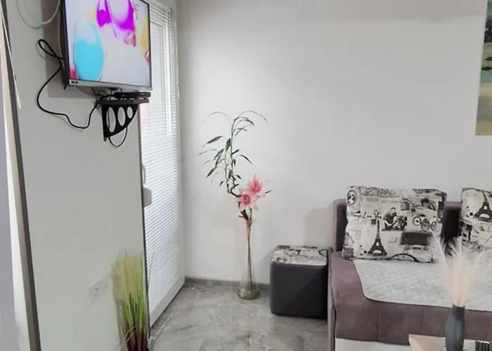 Ivanovic Center Lejlighed