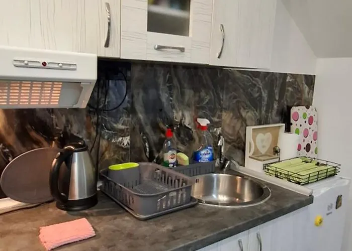 Appartamento Ivanovic Center *