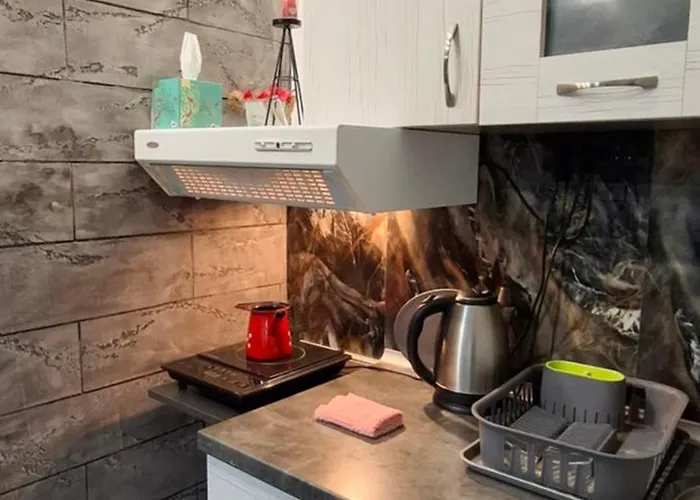 Ivanovic Center Bajina Basta