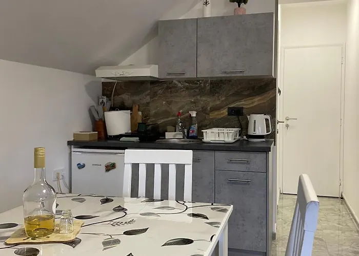 Ivanovic Center Bajina Basta